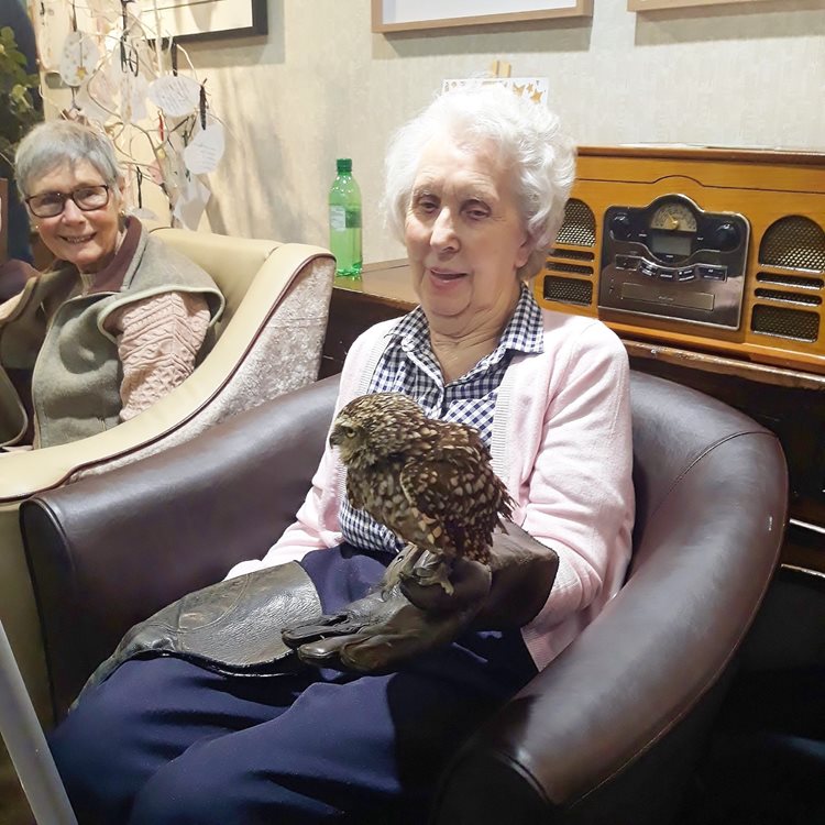 Walks with Hawks join Perry Manor residents